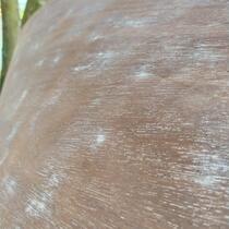 IMG_20200414_181214