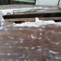 IMG_20200415_152908