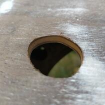IMG_20200415_154248