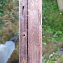 IMG_20200415_163832