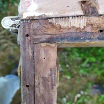 IMG_20200415_163836