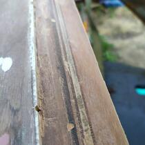IMG_20200415_173536