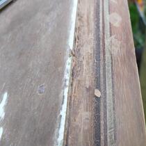 IMG_20200415_173548