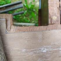 IMG_20200530_175659