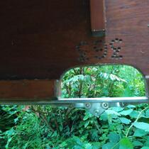 IMG_20200613_122750