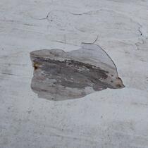 IMG_20200320_103027