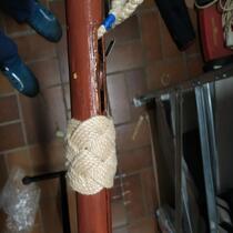 IMG_20231021_121151