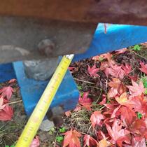 IMG_20201030_101902